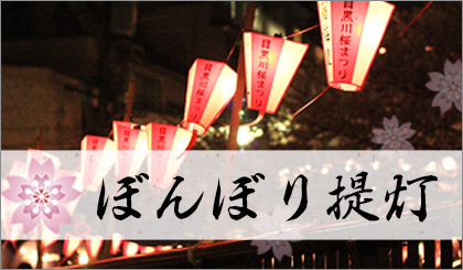 お花見や春祭りの際の装飾に最適な「ぼんぼり提灯」も大特価！