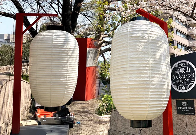 設置事例No.20 桜祭りの屋外装飾用2尺5長和紙提灯使用写真