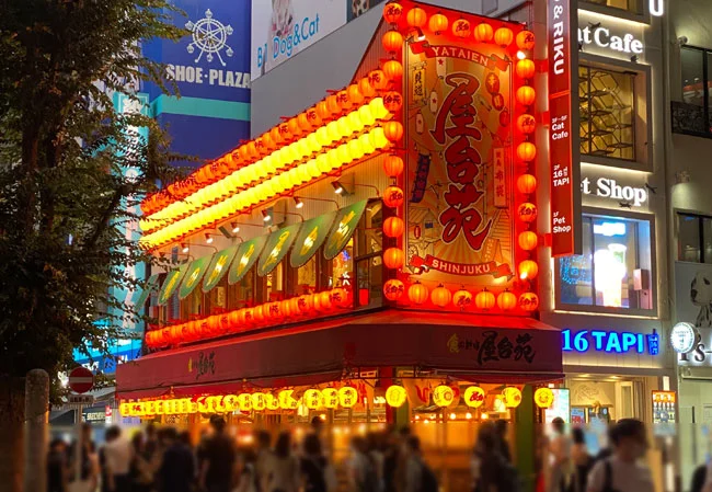 居酒屋様の店舗装飾用13号丸型ビニール提灯、12号・15号長型ビニール提灯使用風景4